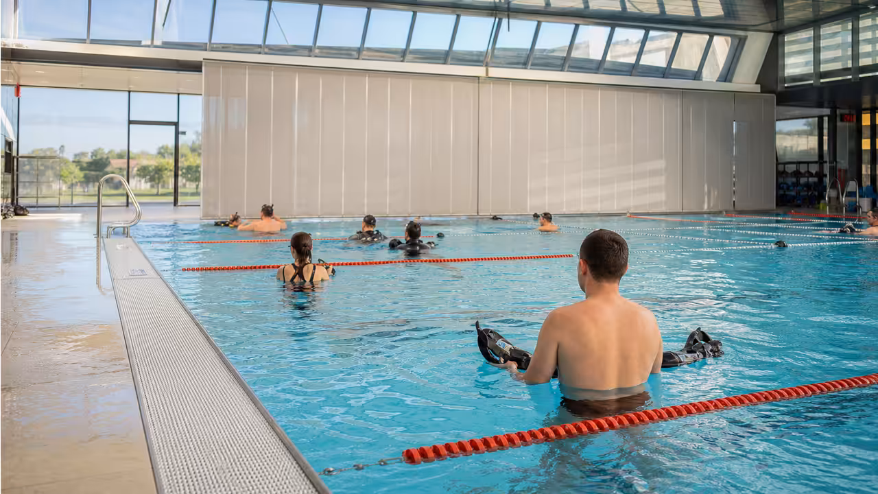 Nageurs adultes dans un bassin couvert lumineux lors d’une animation de piscine publique