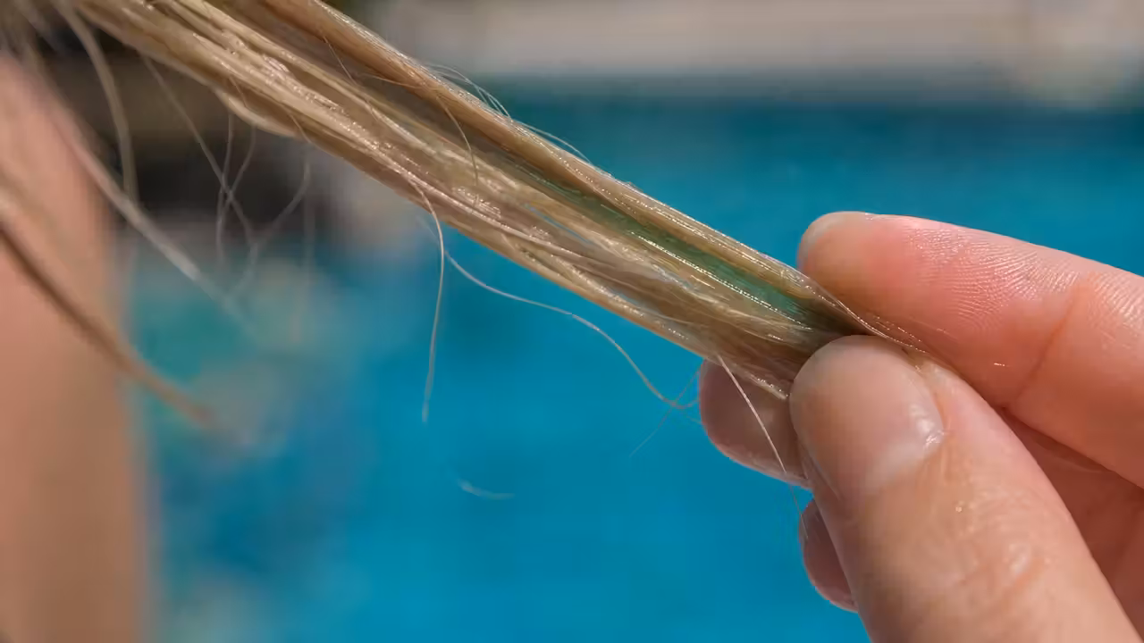 Mèche de cheveux blonds humides teintée de vert tenue à la main au bord d'une piscine
