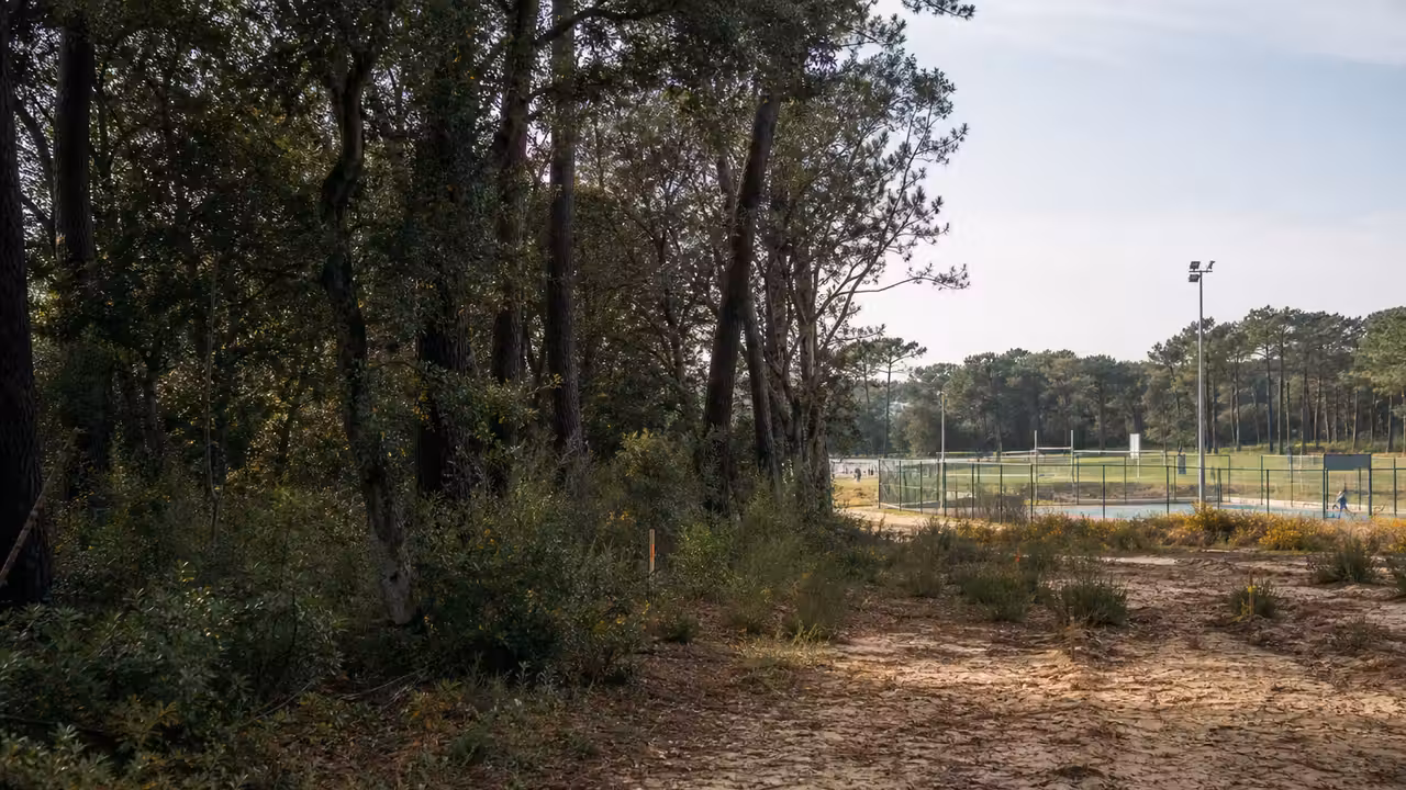 Lisière boisée en Charente-Maritime au cœur d’un débat sur une piscine municipale
