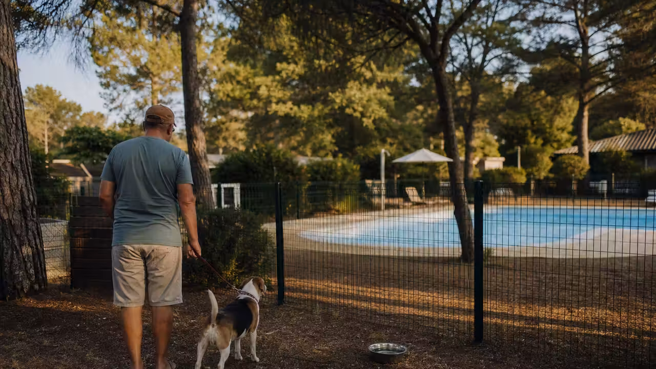 Chien tenu en laisse près d’un Caniparc ombragé, séparé de la piscine d’un camping par une clôture.