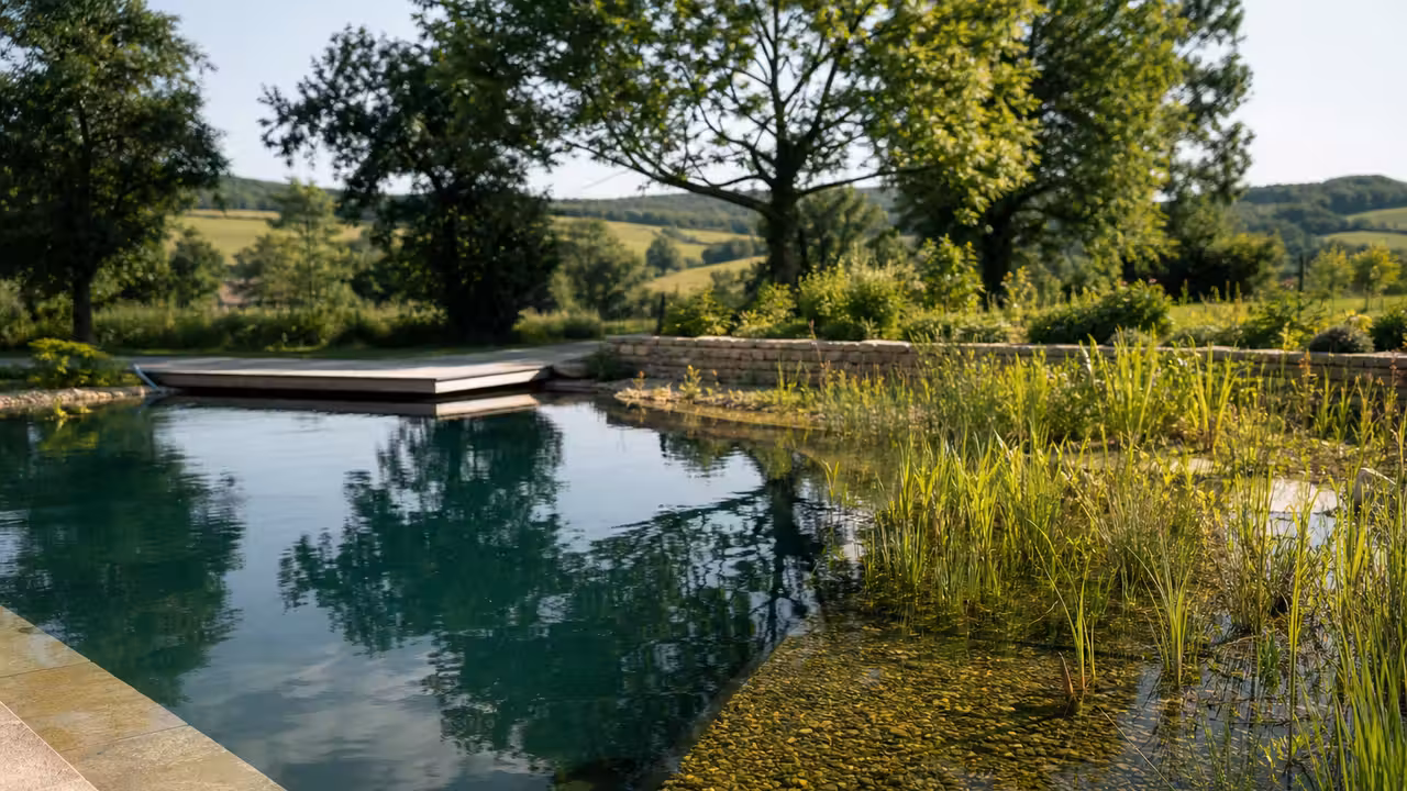 Bassin de baignade naturel végétalisé illustrant le choix d’un équipement aquatique public durable