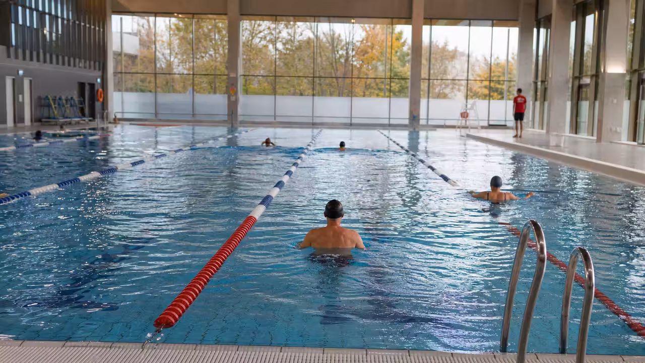 Nageurs dans les lignes d’eau d’un bassin sportif couvert, sous la surveillance d’un maître-nageur