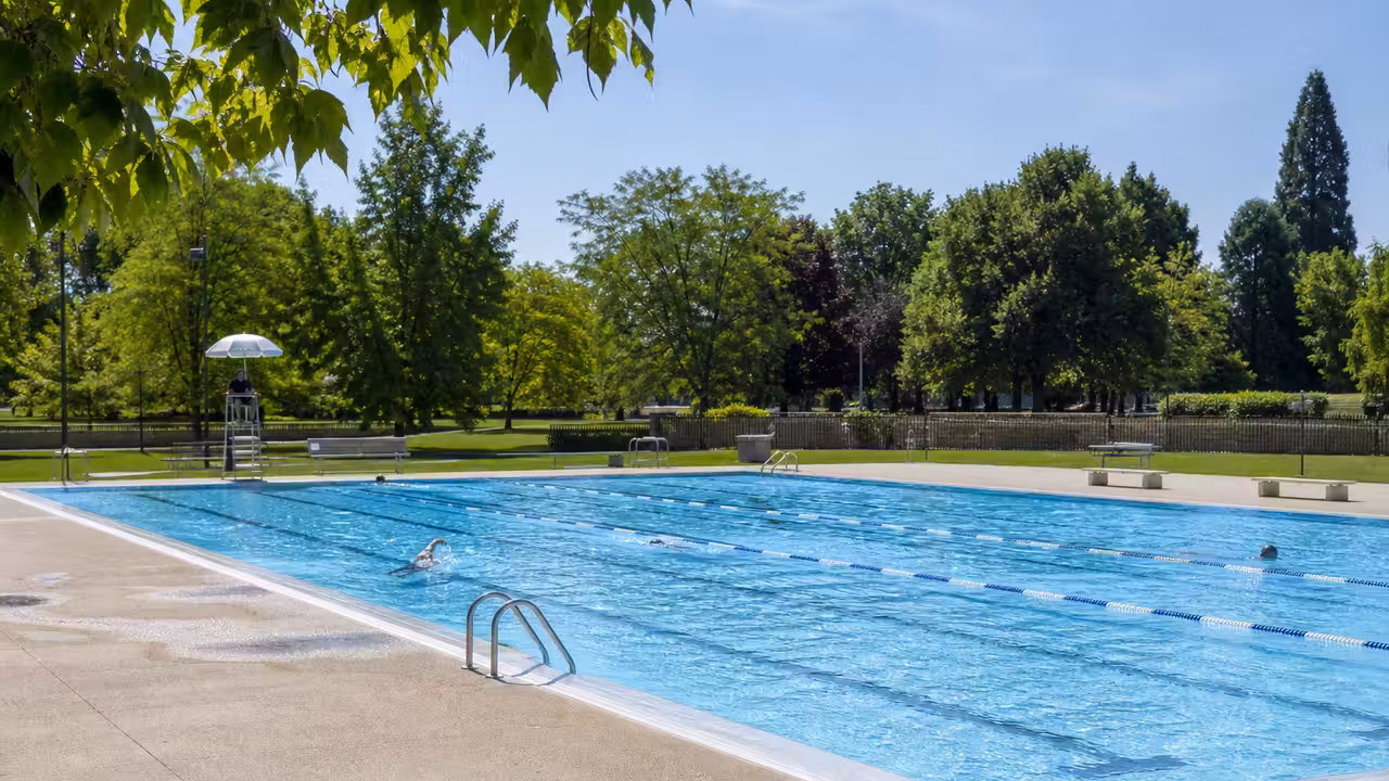 Bassin municipal chauffé en plein air avec lignes d’eau, plages claires et parc arboré en arrière-plan