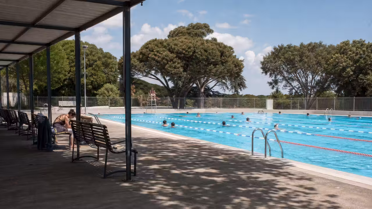 Bassin extérieur municipal animé en été, avec lignes de nage, zone ombragée et baigneurs au loin