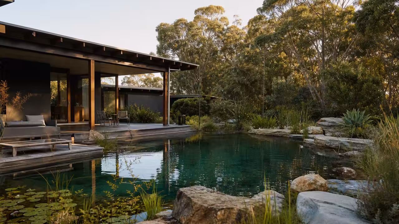 Bassin de baignade naturel bordé de plantes aquatiques et de pierres dans un jardin contemporain
