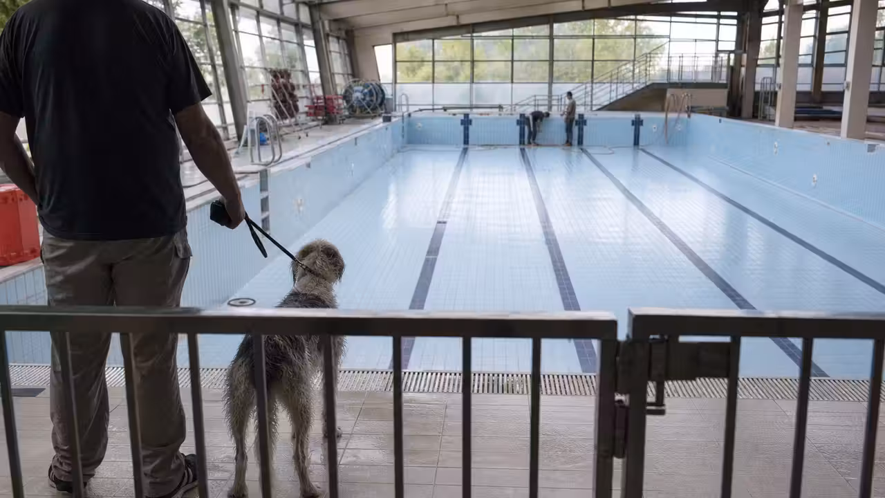 Chien tenu en laisse près d’un bassin municipal vide, avec des barrières d’accès au premier plan