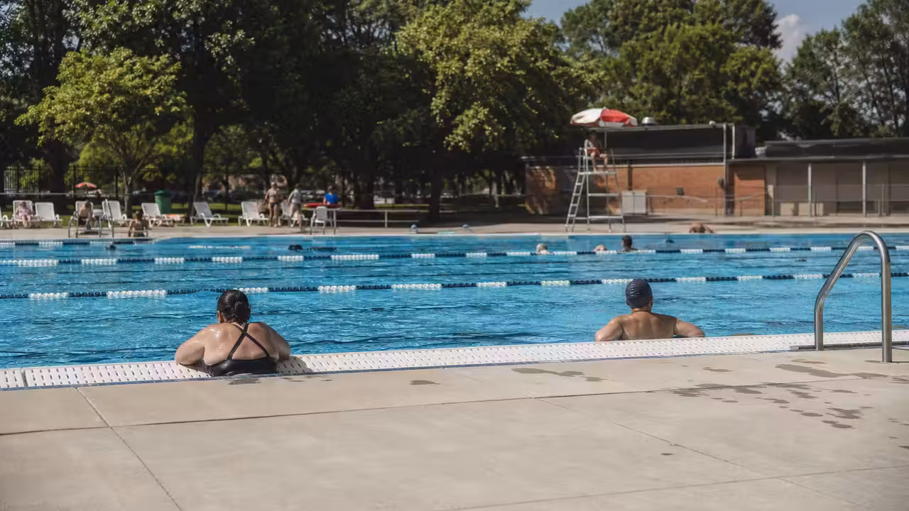 Nageurs dans un bassin extérieur municipal bordé d’arbres à Montréal pendant une journée d’été